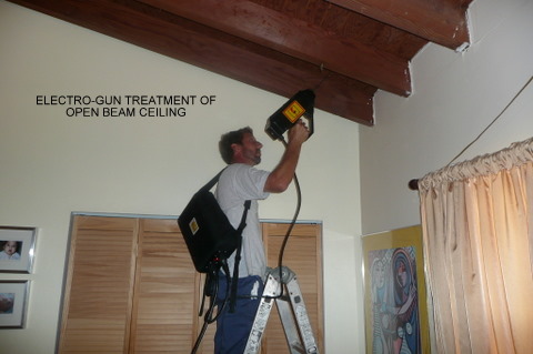 killing-termites-without-damaging-wood